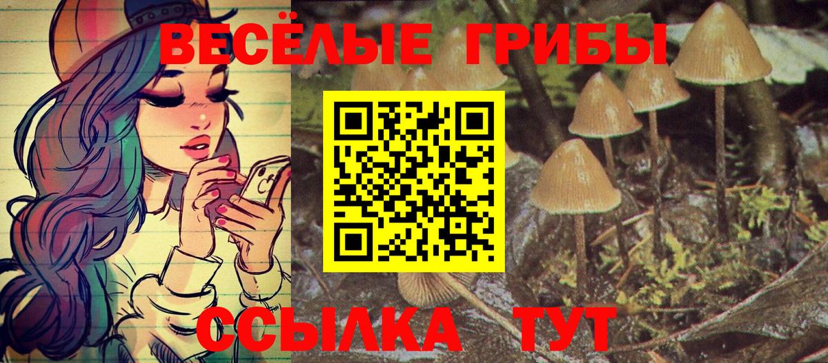 Галлюциногенные грибы мицелий  Псилоцибиновые грибы Magic Shrooms  Амурск  Вход с VPN 