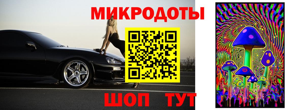 Галлюциногенные грибы Psilocybe Амурск