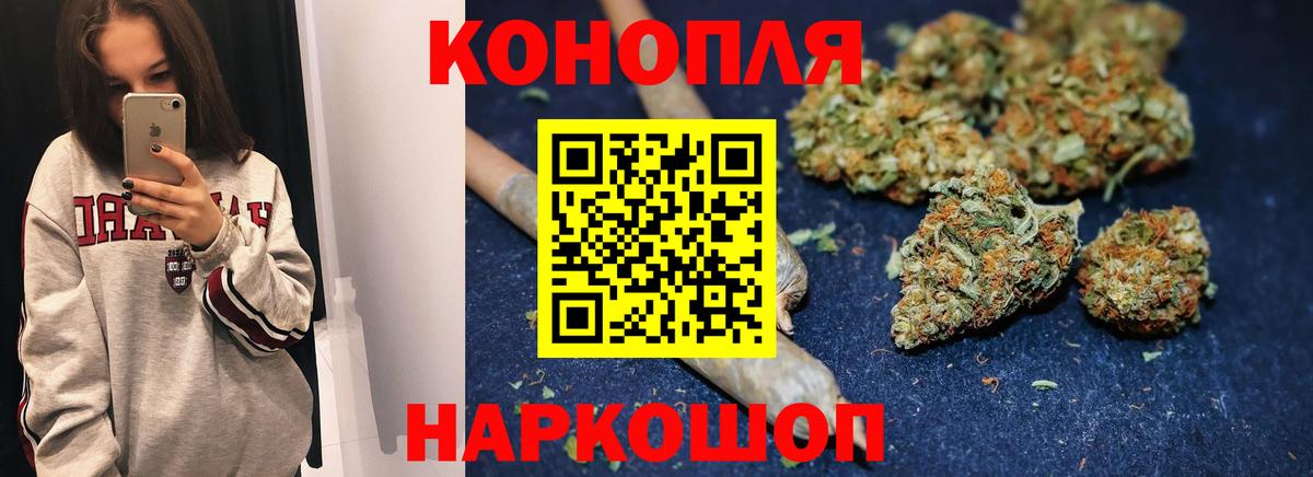Конопля сатива  Вход с VPN  Амурск  Бошки Шишки сатива  Конопля планчик 